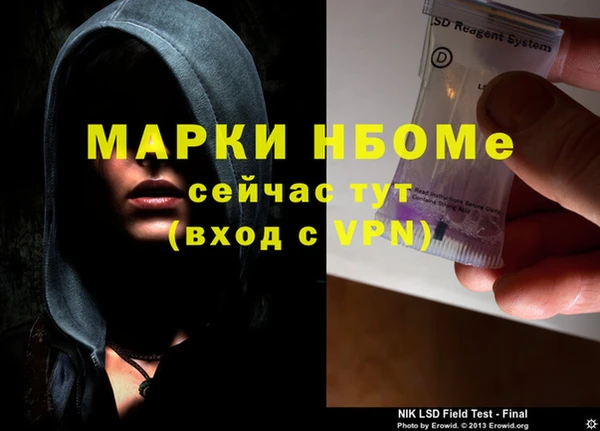 индика Арсеньев