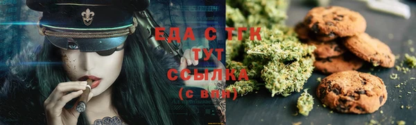 индика Арсеньев