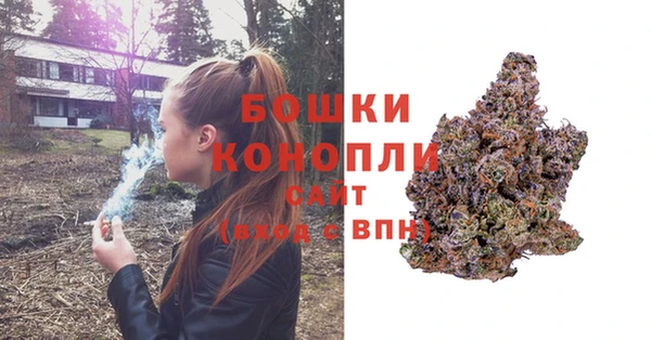 индика Арсеньев