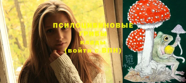 индика Армянск