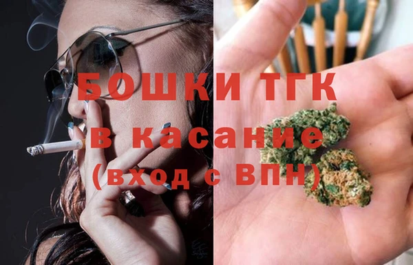 индика Армянск