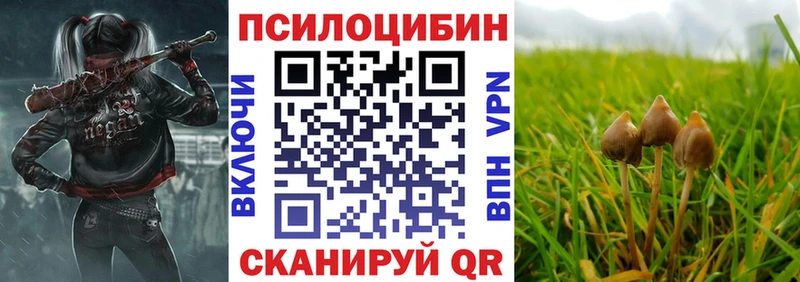 Псилоцибиновые грибы GOLDEN TEACHER Мытищи